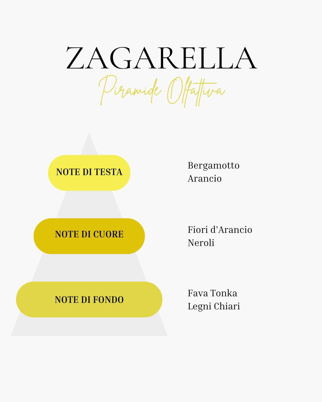 piramide olfattiva zagarella Fragranza Zagarella Ricarica 1000 ml